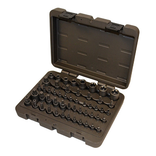 Calvan 934 52-Piece Master Torx Set Torx Tamper E Torx Torx Plus