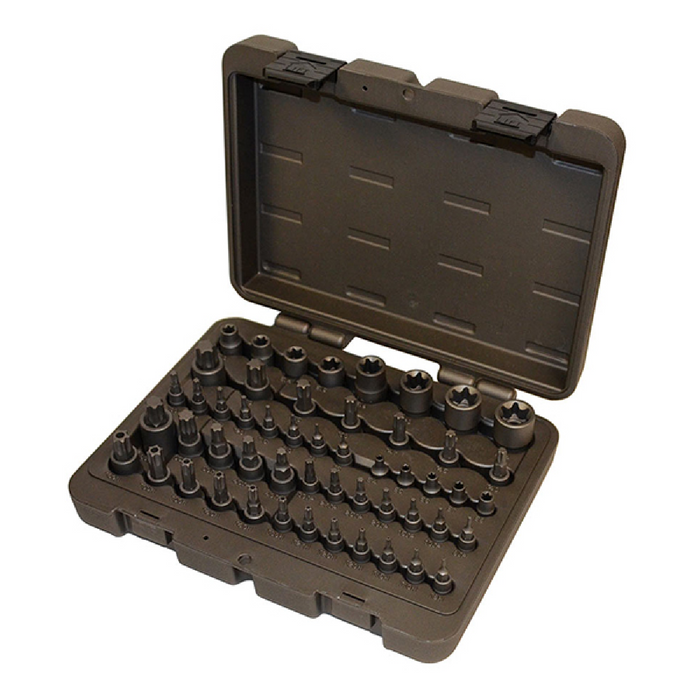 Calvan 934 52-Piece Master Torx Set Torx Tamper E Torx Torx Plus